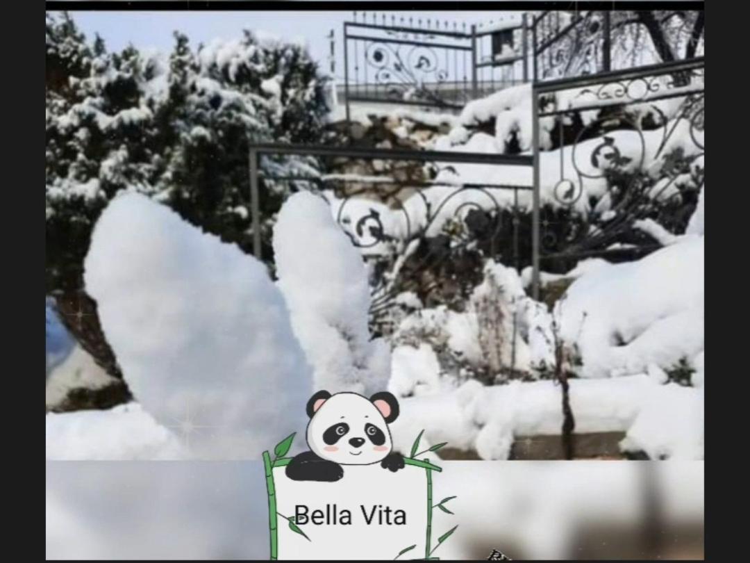 Apartman Bella Vita Kolašin Habitación foto